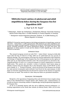 Midwater Trawl Catches of Adolescent and Adult Anguilliform Fishes During the Sargasso Sea Eel Expedition 1979