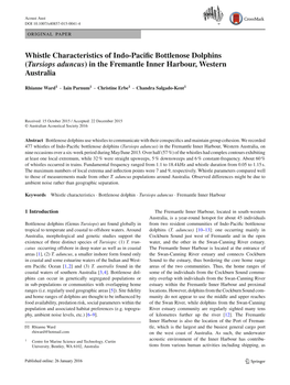 Whistle Characteristics of Indo-Pacific Bottlenose Dolphins (Tursiops