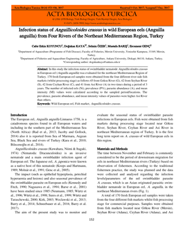 Infection Status of Anguillicoloides Crassus in Wild European Eels (Anguilla Anguilla) from Four Rivers of the Northeast Mediterranean Region, Turkey