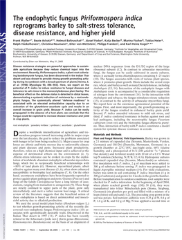 The Endophytic Fungus Piriformospora Indica Reprograms Barley to Salt-Stress Tolerance, Disease Resistance, and Higher Yield