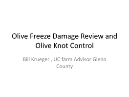 Olive Freeze Damage Review and Olive Knot Control