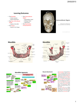 Submandibular Region