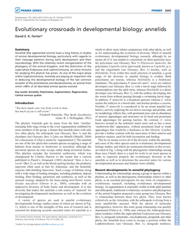 Evolutionary Crossroads in Developmental Biology: Annelids David E