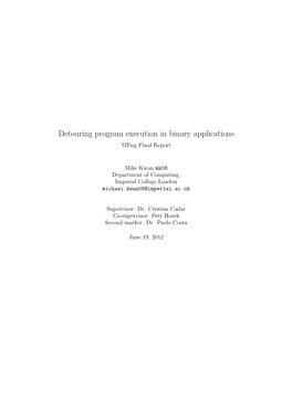 Detouring Program Execution in Binary Applications Meng Final Report