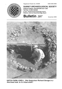 Bulletin 397 N O V E M B E R 2 0 0 6