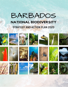 National Biodiversity Strategy and Action Plan (NBSAP) and Consists of Four (4) Chapters