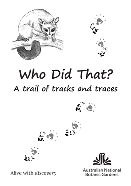 Who Did That? a Trail of Tracks and Traces