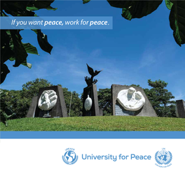 About Upeace