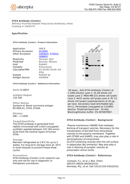 STX4 Antibody (Center) Affinity Purified Rabbit Polyclonal Antibody (Pab) Catalog # AW5579