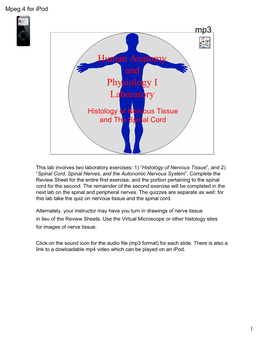 Human Anatomy and Physiology I Laboratory