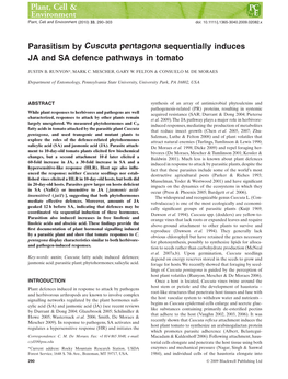 Parasitism by Cuscuta Pentagona Sequentially Induces JA and SA