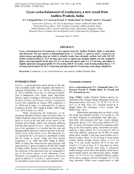 Cycas Seshachalamensis (Cycadaceae), a New Cycad from Andhra Pradesh, India