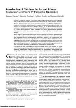 Introduction of DNA Into the Rat and Primate Trabecular Meshwork by Fusogenic Liposomes