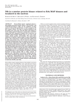 Nlk Is a Murine Protein Kinase Related to Erk/MAP Kinases and Localized In