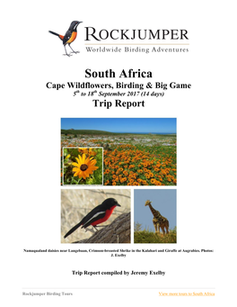 South Africa Cape Wildflowers, Birding & Big Game 5Th to 18Th September 2017 (14 Days) Trip Report