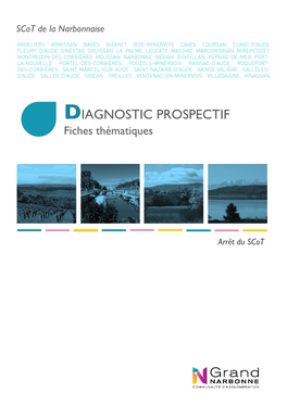 Diagnostic Prospectif