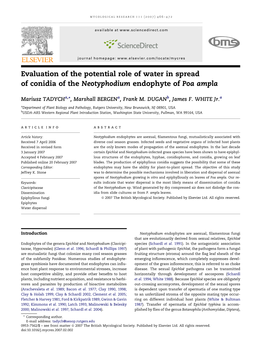 Evaluation of the Potential Role of Water in Spread of Conidia of the Neotyphodium Endophyte of Poa Ampla