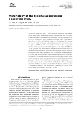 Morphology of the Bicipital Aponeurosis: a Cadaveric Study S.D