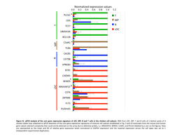 Normalized Expression Values *