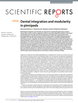 Dental Integration and Modularity in Pinnipeds Mieczyslaw Wolsan 1, Satoshi Suzuki2, Masakazu Asahara3 & Masaharu Motokawa4