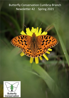 Butterfly Conservation Cumbria Branch Newsletter 42 Spring 2021