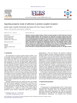 Signaling Property Study of Adhesion G-Protein-Coupled Receptors ⇑ Jamila Gupte, Gayathri Swaminath, Jay Danao, Hui Tian, Yang Li, Xinle Wu