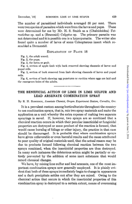 The Beneficial Action of Lime in Lime Sulfur and Lead Arsenate Combination Spray