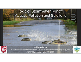 Toxic of Stormwater Runoff: Aquatic Pollution and Solutions