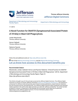 A Novel Function for SNAP29 (Synaptosomal-Associated Protein of 29 Kda) in Mast Cell Phagocytosis