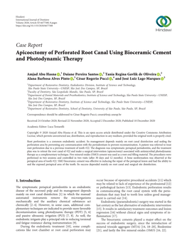 Apicoectomy of Perforated Root Canal Using Bioceramic Cement and Photodynamic Therapy