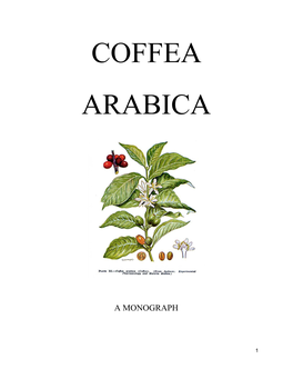 Coffea Arabica