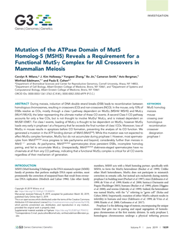 MSH5) Reveals a Requirement for a Functional Mutsg Complex for All Crossovers in Mammalian Meiosis