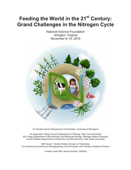 Century: Grand Challenges in the Nitrogen Cycle