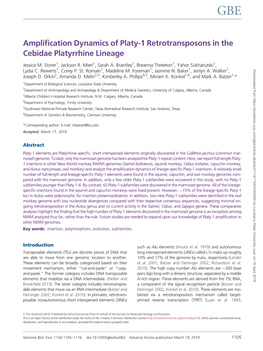 Amplification Dynamics of Platy-1 Retrotransposons in the Cebidae