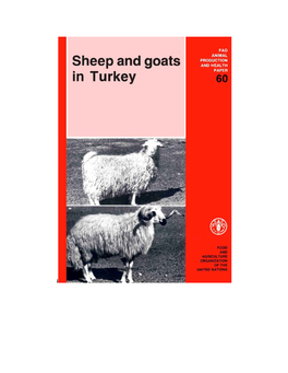Sheep and Goats in Turkey
