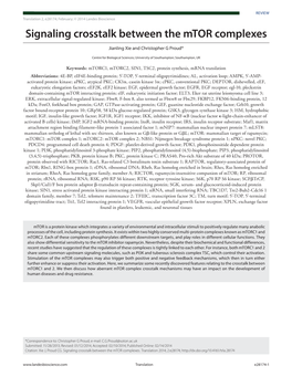 Signaling Crosstalk Between the Mtor Complexes