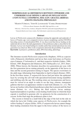 Morphological Difference Between Upperside and Underside Leaf-Mining Larvae of Phyllocnistis Unipunctella (Stephens, 1834) (Lep