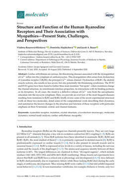 Structure and Function of the Human Ryanodine Receptors and Their Association with Myopathies—Present State, Challenges, and Perspectives