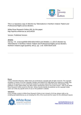 Abortion by Telemedicine in Northern Ireland: Patient and Professional Rights Across Borders