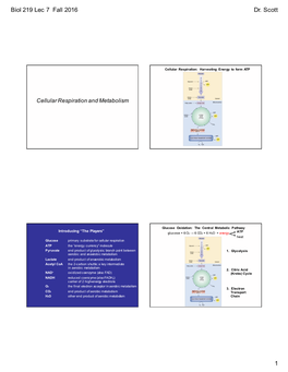 Biol 219 Lec 7 Fall 2016 Dr. Scott 1