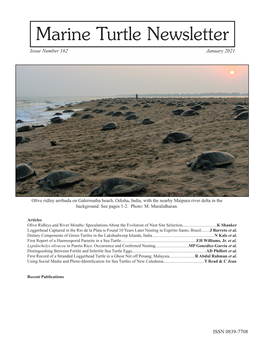 Marine Turtle Newsletter Issue Number 162 January 2021