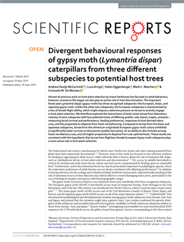 Divergent Behavioural Responses of Gypsy Moth