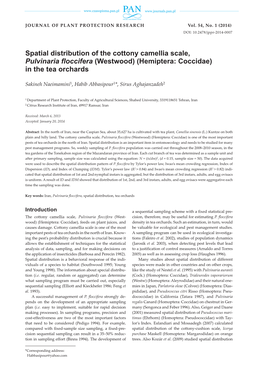 Spatial Distribution of the Cottony Camellia Scale, Pulvinaria Floccifera (Westwood) (Hemiptera: Coccidae) in the Tea Orchards