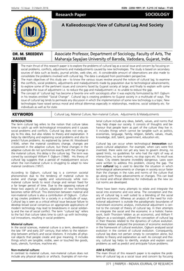 Research Paper a Kalieodoscopic View of Cultural Lag and Society