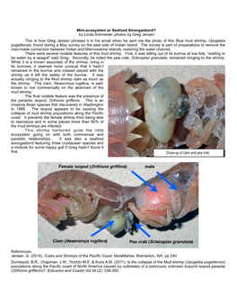 3 Mini-Ecosystem Or Seafood Smorgasbord? for Website