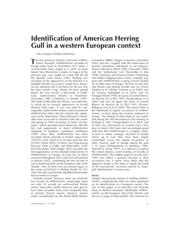 Identification of American Herring Gull in a Western European Context T