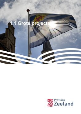 1.1 Grote Projecten