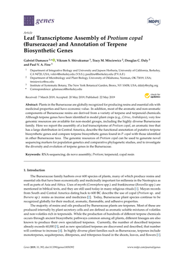 Leaf Transcriptome Assembly of Protium Copal (Burseraceae) and Annotation of Terpene Biosynthetic Genes