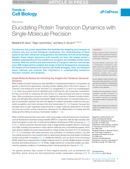 Elucidating Protein Translocon Dynamics with Single-Molecule Precision