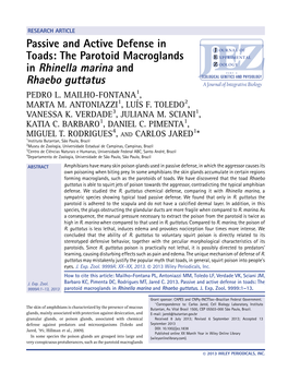 The Parotoid Macroglands in Rhinella Marina and Rhaebo Guttatus PEDRO L